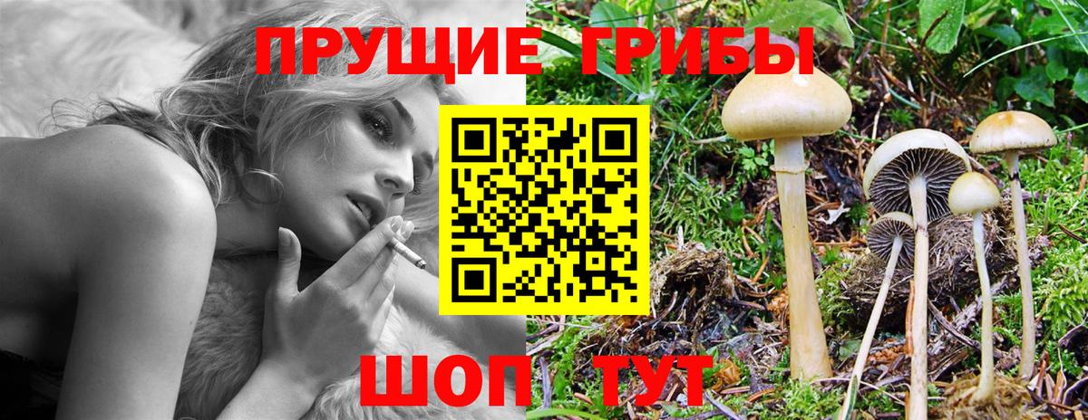 Псилоцибиновые грибы мухоморы Кандалакша