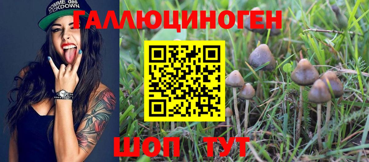 МЕФ кристаллы  Cocaine  Кандалакша  Наркошоп  Вейп ТГК  Вход с VPN  Бошки Шишки  ГАШ  ГАШ 