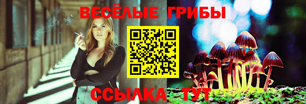 Кандалакша  Псилоцибиновые грибы Psilocybine cubensis  Галлюциногенные грибы Psilocybe  Вход с VPN 