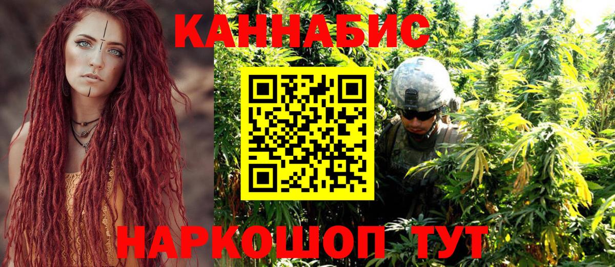 Конопля сатива Кандалакша